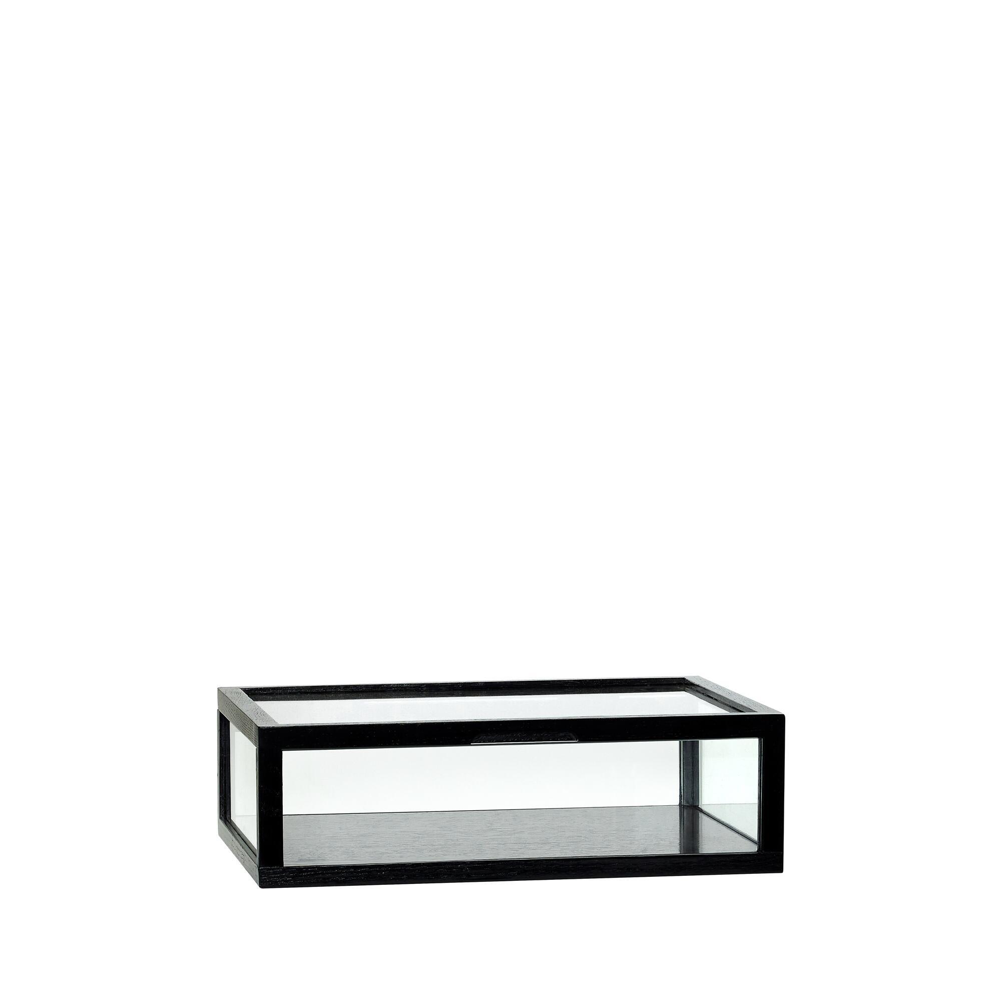  View Display Kasse Small Sort fra Hübsch Interiør i Askfiner, Ask, Glas, MDF (Varenr: 882034)